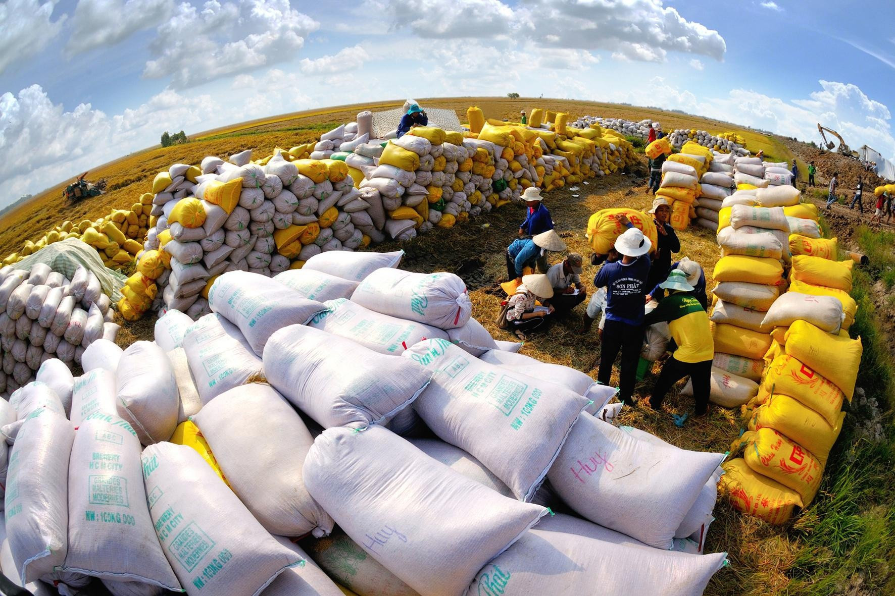 تصویر بسته‌بندی برنج وارداتی آماده ترخیص از گمرک